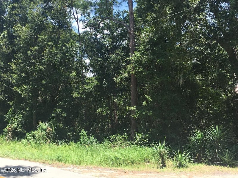 320 Alabama Ave, Palatka, FL 32177