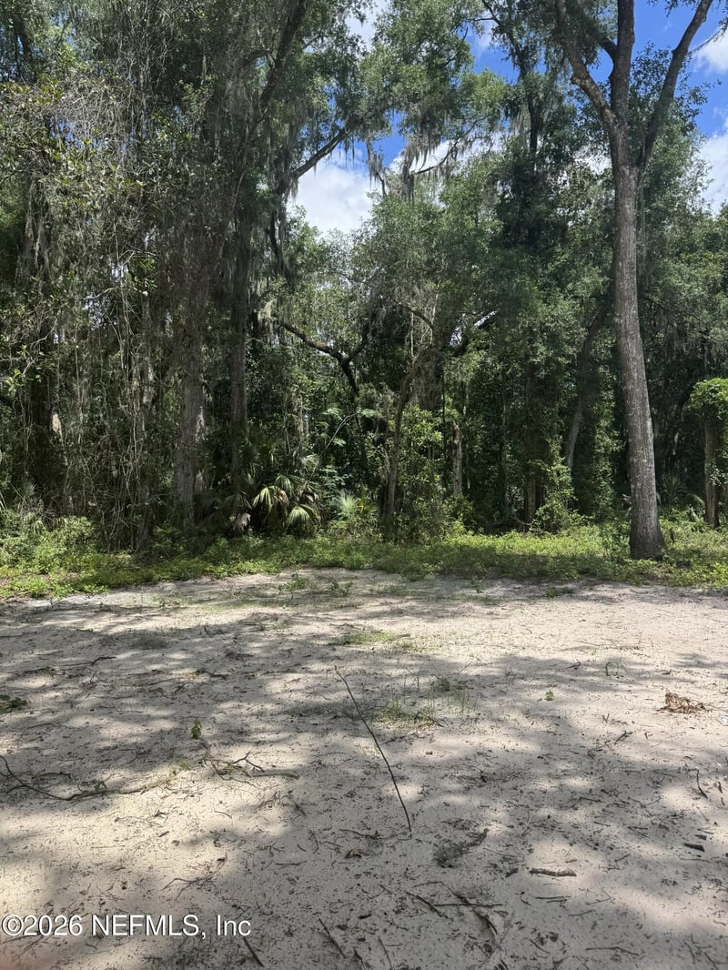 110 Reed Bell St, East Palatka, FL 32131