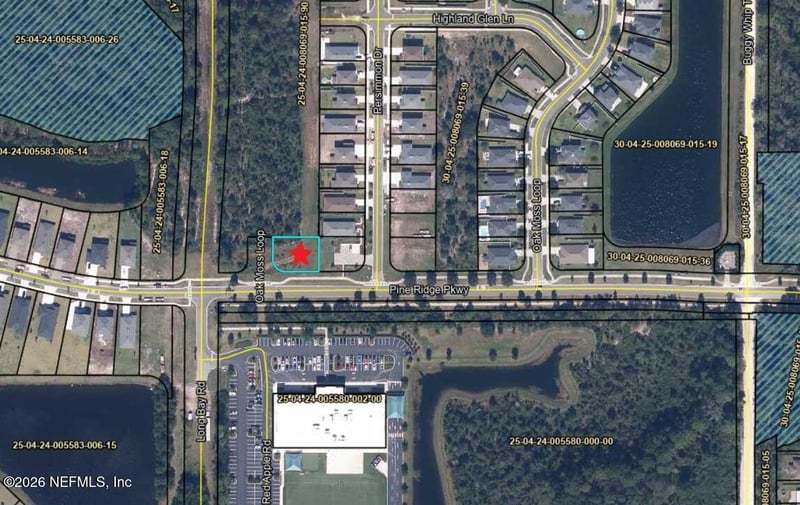 4679 Oak Moss Loop, Middleburg, FL 32068