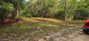 409 Incline Rd, Satsuma, FL 32189