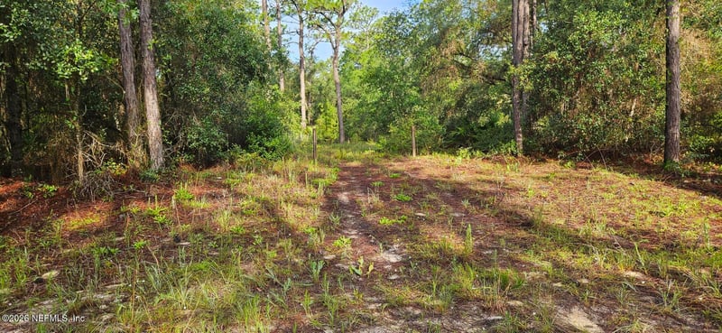 411 Incline Rd, Satsuma, FL 32189