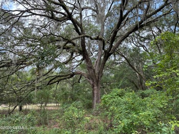 107 Laurel Dr, Hawthorne, FL 32640