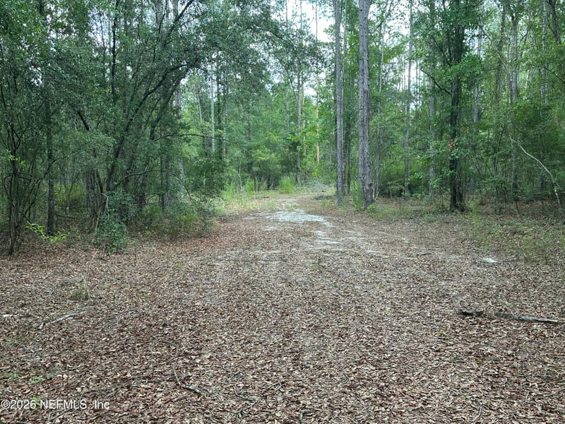 15422 Bullock Bluff Rd, Bryceville, FL 32009