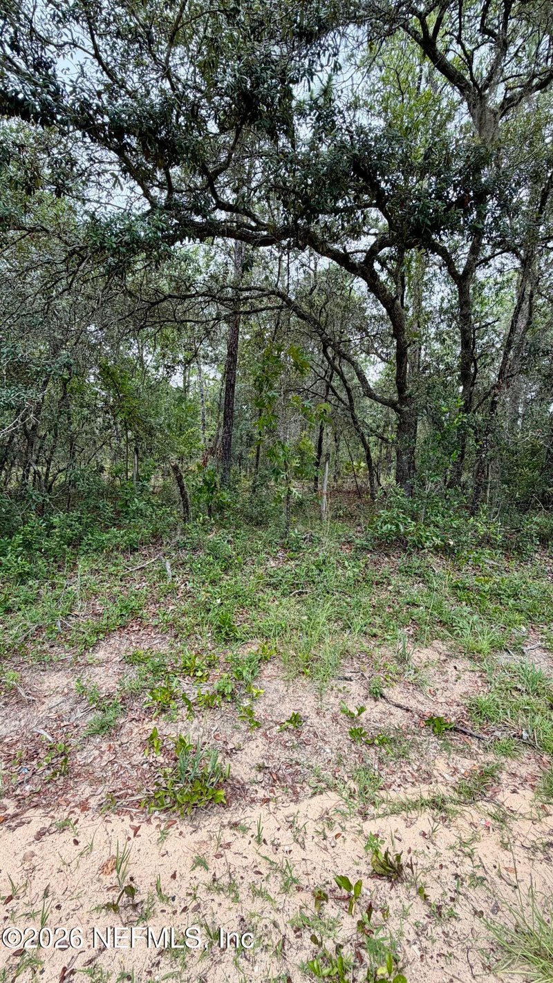 0041 Cousintown Rd, Interlachen, FL 32148