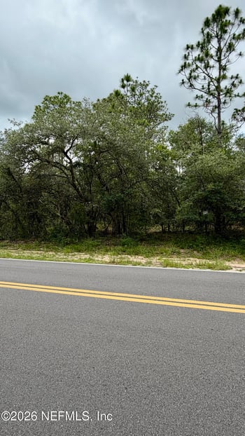 0041 Cousintown Rd, Interlachen, FL 32148