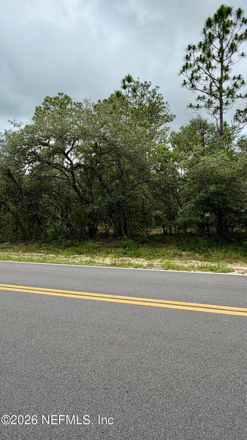 0041 Cousintown Rd, Interlachen, FL 32148