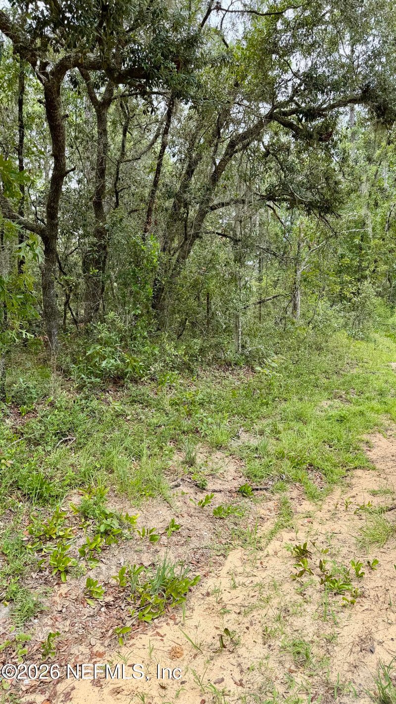 0041 Cousintown Rd, Interlachen, FL 32148