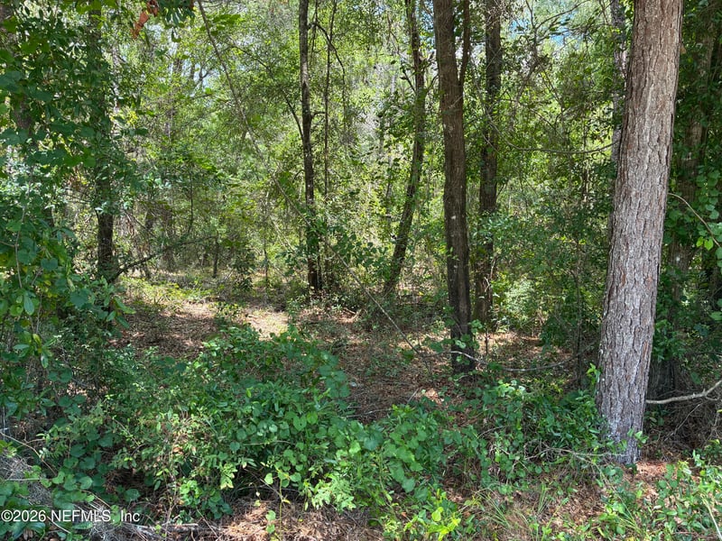 218 Beecher Springs Rd, Pomona Park, FL 32181