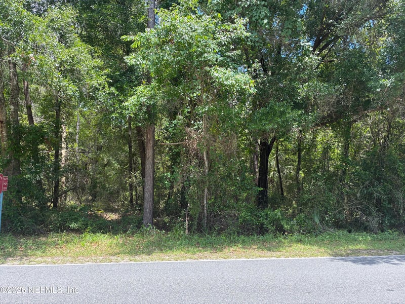 218 Beecher Springs Rd, Pomona Park, FL 32181