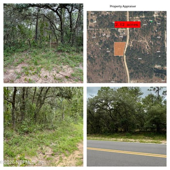 0041 Cousintown Rd, Interlachen, FL 32148