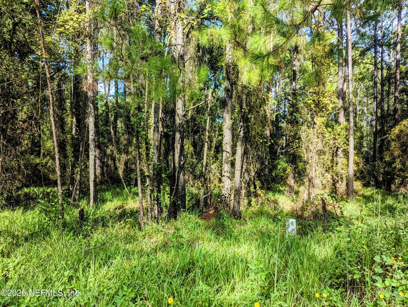000 Us Hwy 301, Waldo, FL 32694