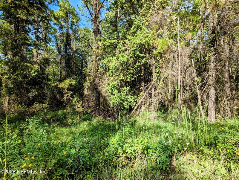 000 Us Hwy 301, Waldo, FL 32694