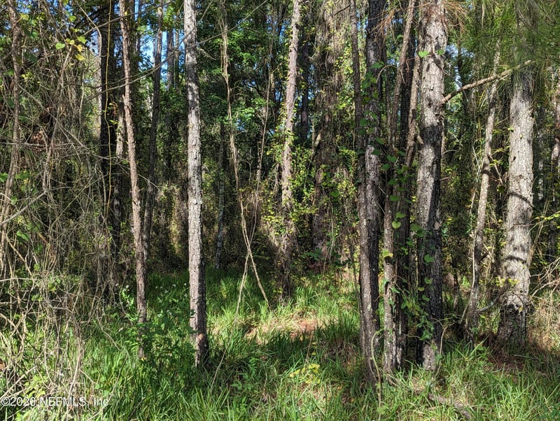 000 Us Hwy 301, Waldo, FL 32694