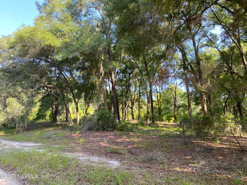 118 Strawberry St, Pomona Park, FL 32181