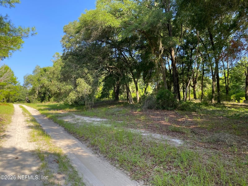 118 Strawberry St, Pomona Park, FL 32181