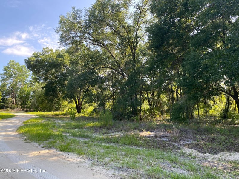 118 Strawberry St, Pomona Park, FL 32181