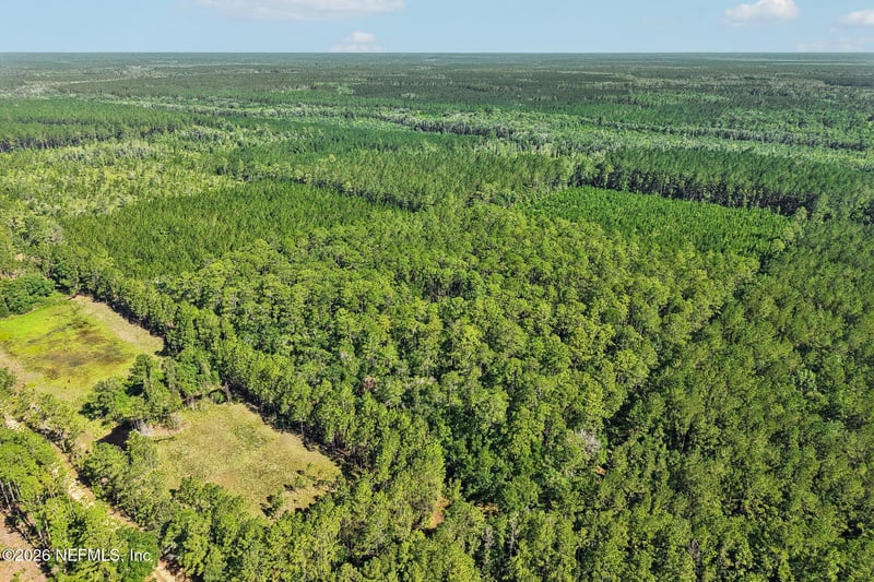 Coopers Neck Rd, Hilliard, FL 32046