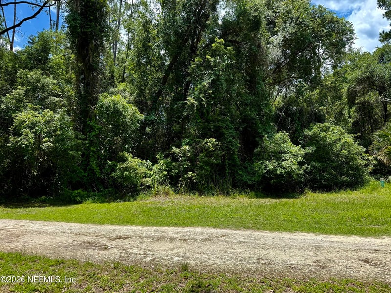 627 Walnut St, Welaka, FL 32193