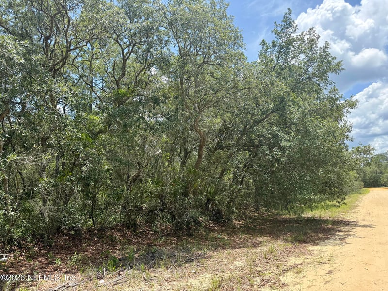 XXX Wallace St, Interlachen, FL 32148