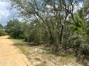 XXX Wallace St, Interlachen, FL 32148