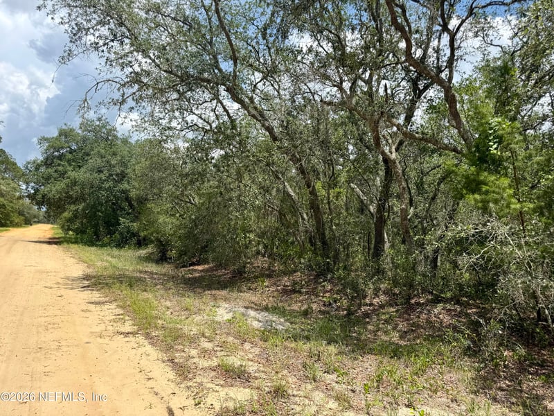 XXX Wallace St, Interlachen, FL 32148