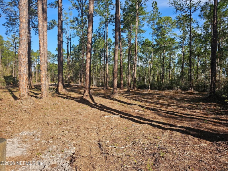 211 Georgetown Denver Rd, Georgetown, FL 32139