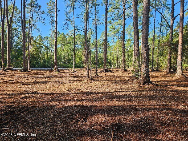 211 Georgetown Denver Rd, Georgetown, FL 32139