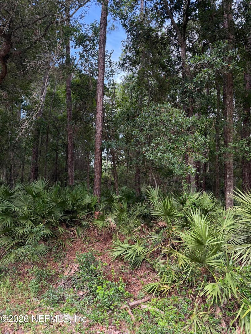 102 Caroline Blvd, Georgetown, FL 32139