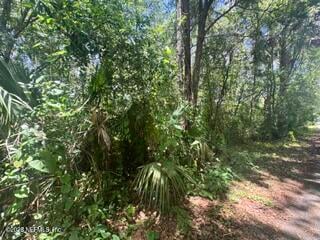 205 Washington Ave, Green Cove Springs, FL 32043