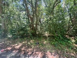 205 Washington Ave, Green Cove Springs, FL 32043