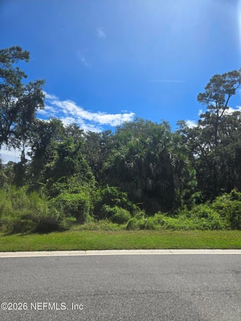 208 Canopy Hall Dr, St Augustine, FL 32095
