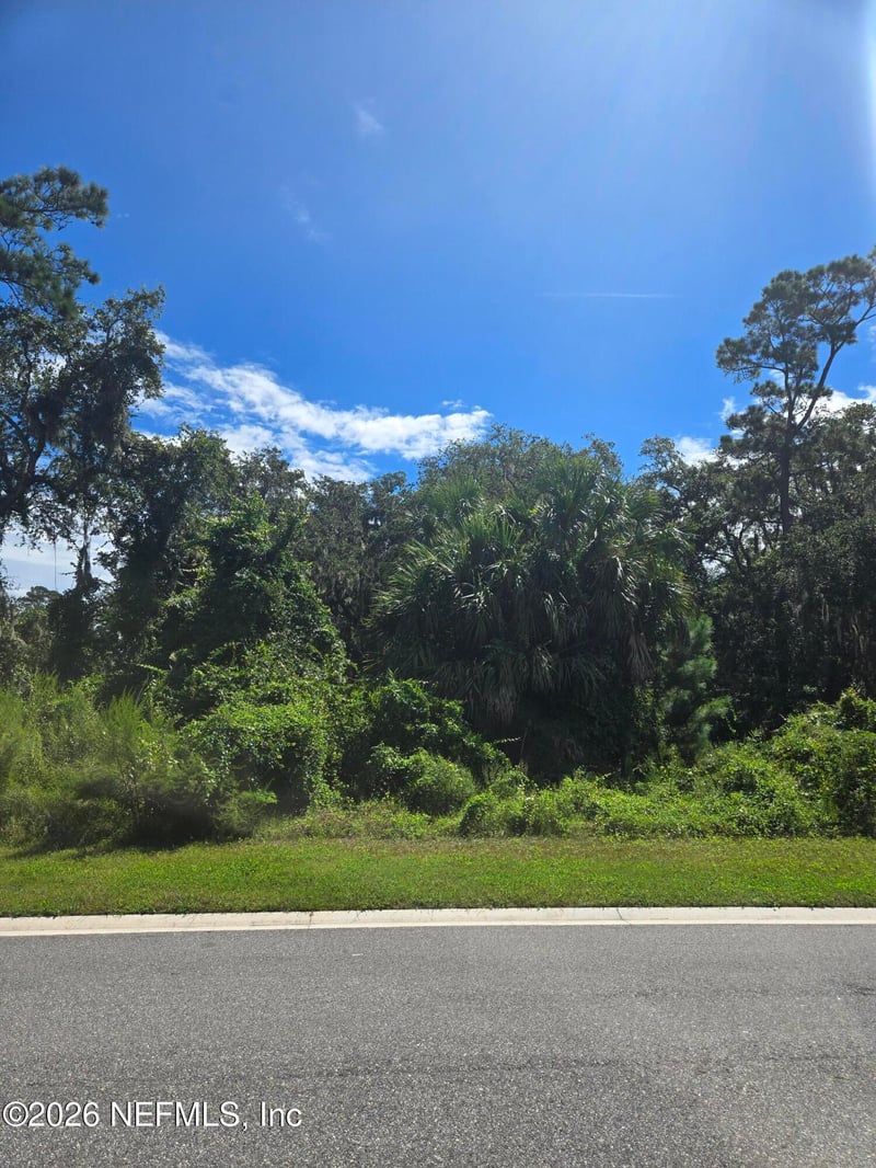 208 Canopy Hall Dr, St Augustine, FL 32095