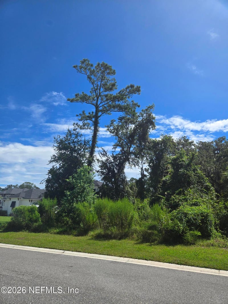 208 Canopy Hall Dr, St Augustine, FL 32095