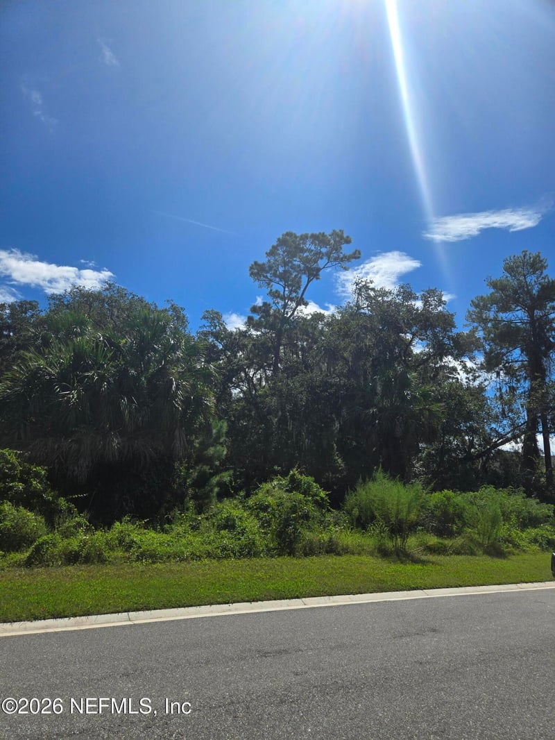 208 Canopy Hall Dr, St Augustine, FL 32095