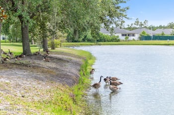 216 Deerfield Glen Dr, St Augustine, FL 32086