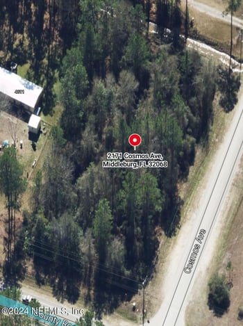 2171 Cosmos Ave, Middleburg, FL 32068
