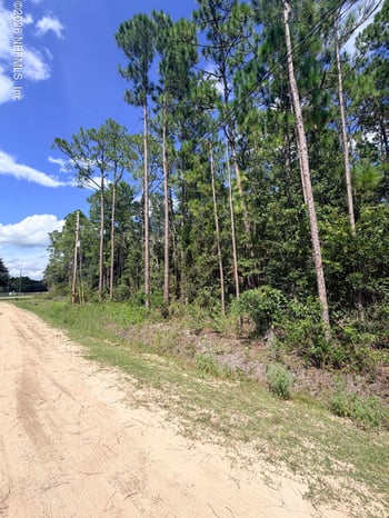 2283 Chervil Ct, Middleburg, FL 32068