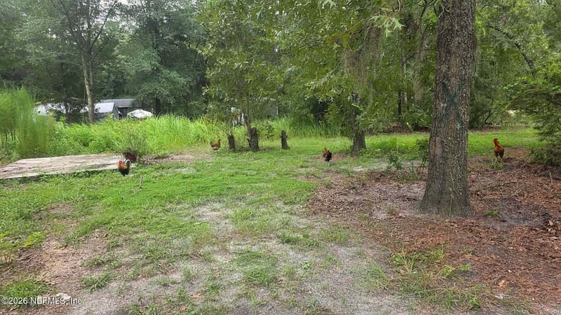 2517 Angelica Ave, Middleburg, FL 32068
