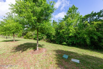 2627 Sandy Dune Dr, Jacksonville, FL 32233