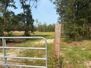 2839 Windemere Ct, Middleburg, FL 32068