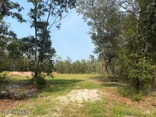 2839 Windemere Ct, Middleburg, FL 32068