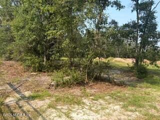 2839 Windemere Ct, Middleburg, FL 32068