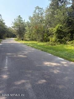2839 Windemere Ct, Middleburg, FL 32068