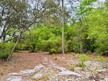 2857 Steel Bridge Rd, Macclenny, FL 32063