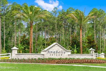 2951 Monroe Lakes Ter, Green Cove Springs, FL 32043