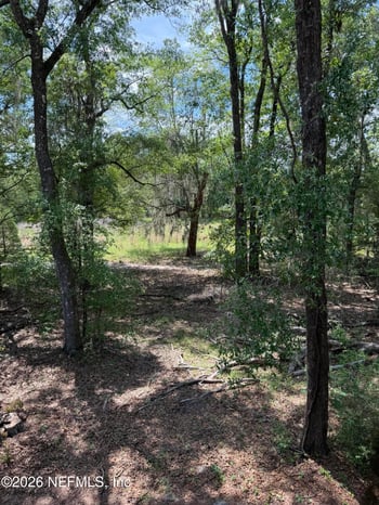 2960 Ravines Rd #1325, Middleburg, FL 32068
