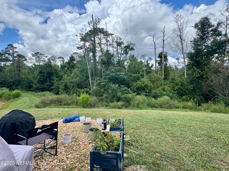 3024 Sheer Bliss Way, Orange Park, FL 32065