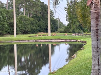 308 Diana Ct, St Augustine, FL 32092