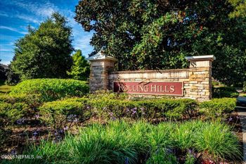 3089 Laurel Springs Dr, Green Cove Springs, FL 32043