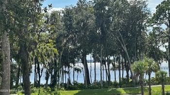 313 Oakmoss Dr, St Johns, FL 32259